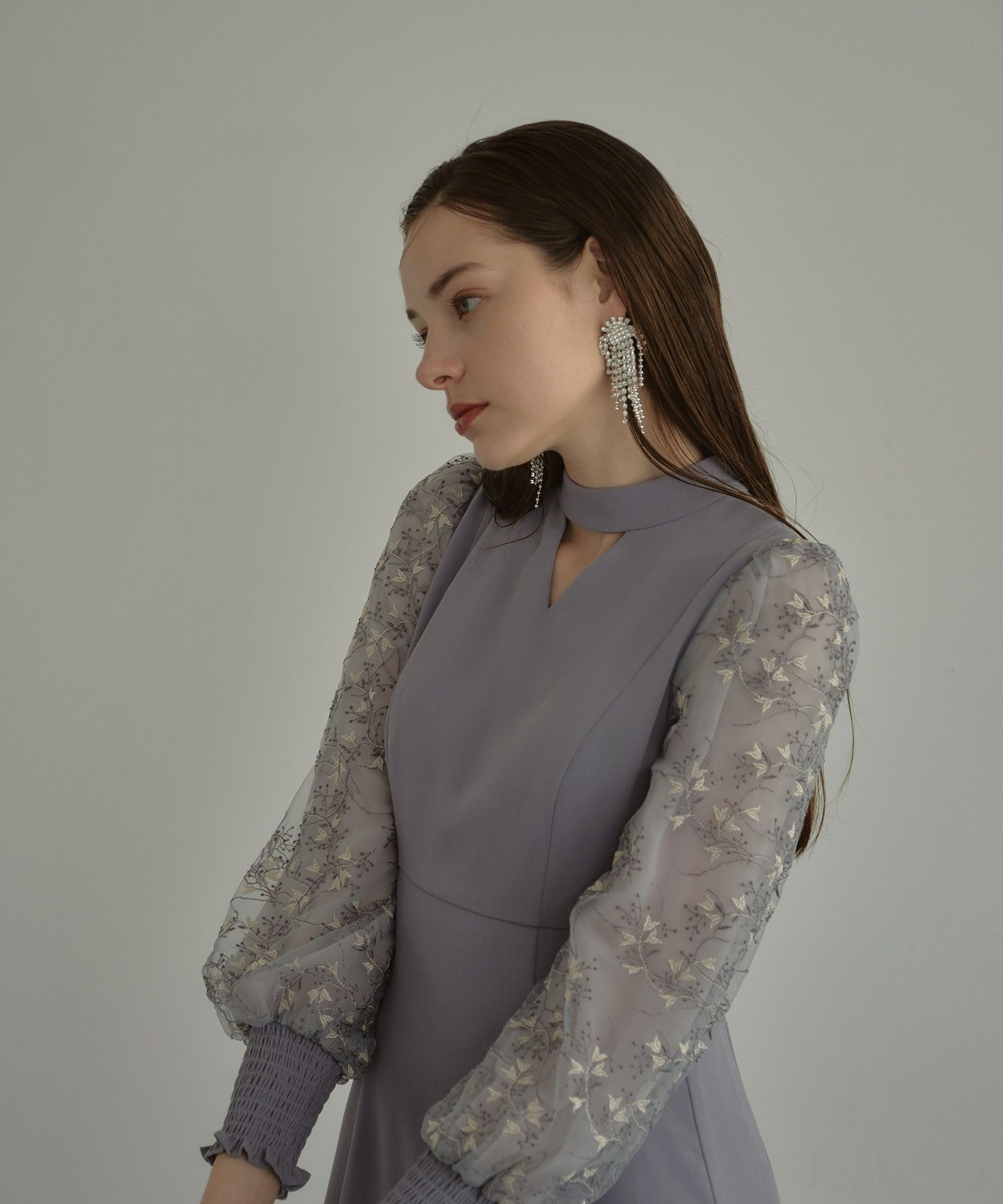 sleeve embroidery dress | ANDRESD