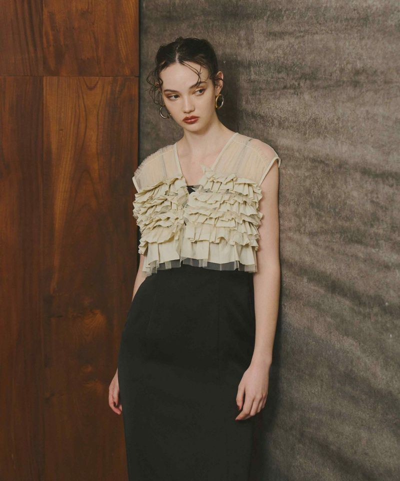美品 ANDRESD taffeta tulle vest set dress taffeta tulle vest set dress | ANDRESD